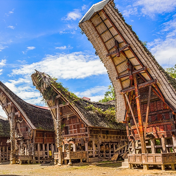 Tongkonan - Toraja Traditional House With Rich Meanings