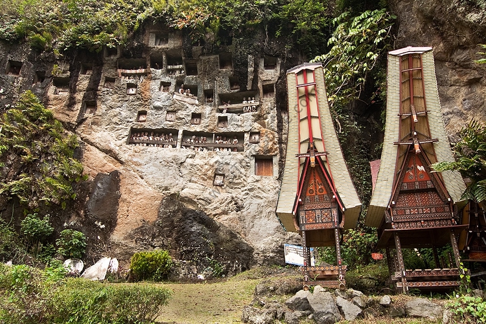 Lemo Toraja Stone Grave Local Guides Indonesia